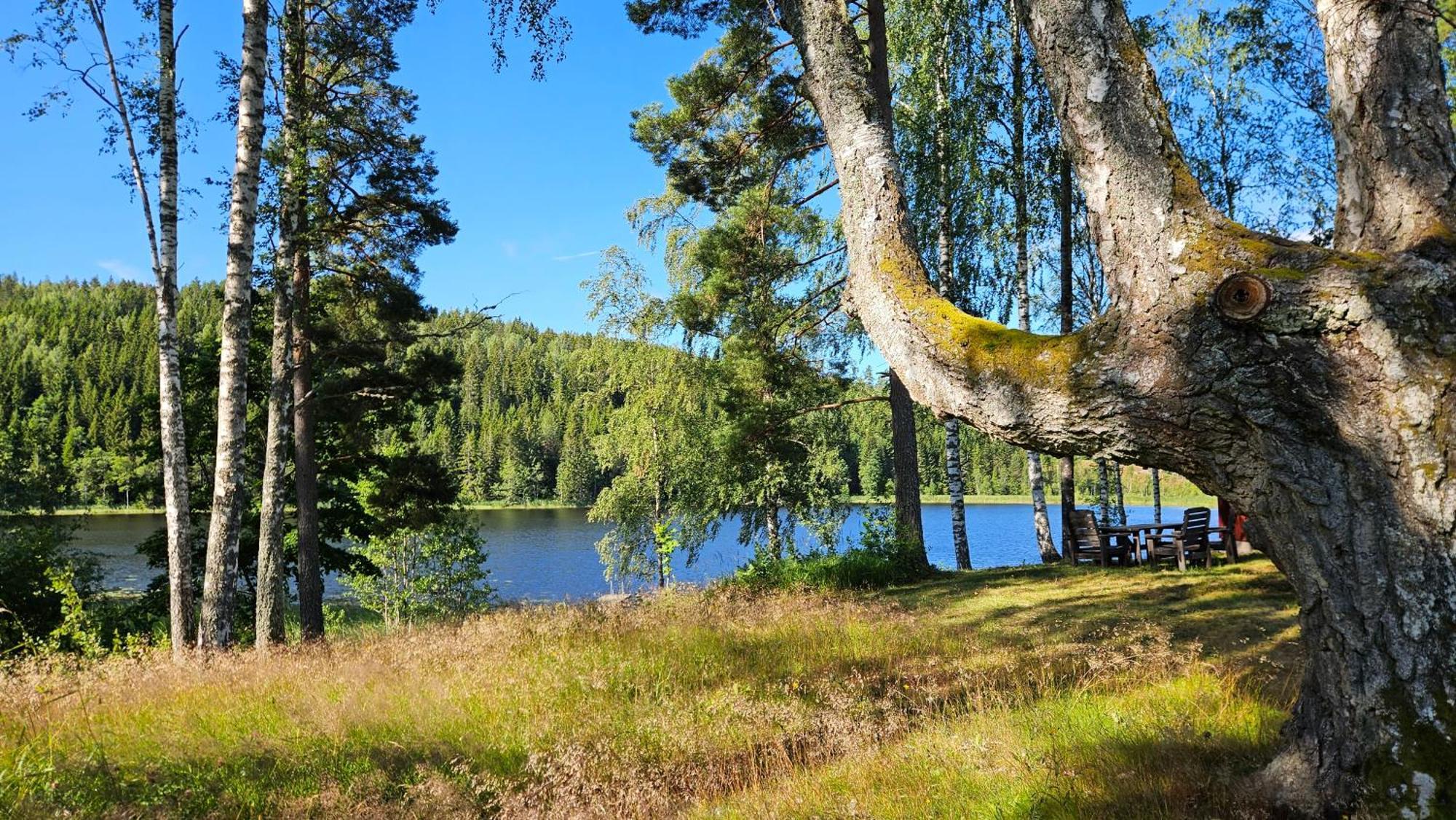 Kilsborgs Gard - Lakehouse Svanskog Exterior foto